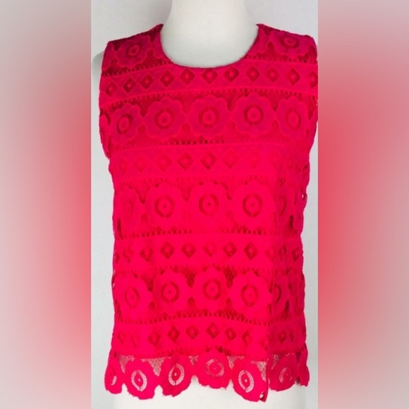 Anthropologie Sophie Rue Lace Hot Pink Blouse boho classic lace spring - Picture 1 of 5